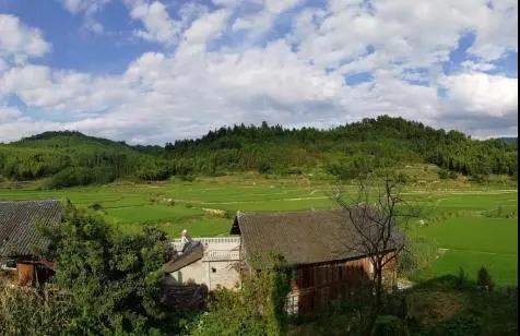 微信圖片_20200519095106.jpg 微信圖片_20200519095106.jpg